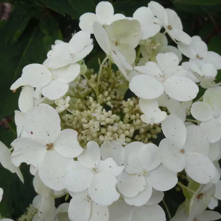 Martina Apartment Krummhörn