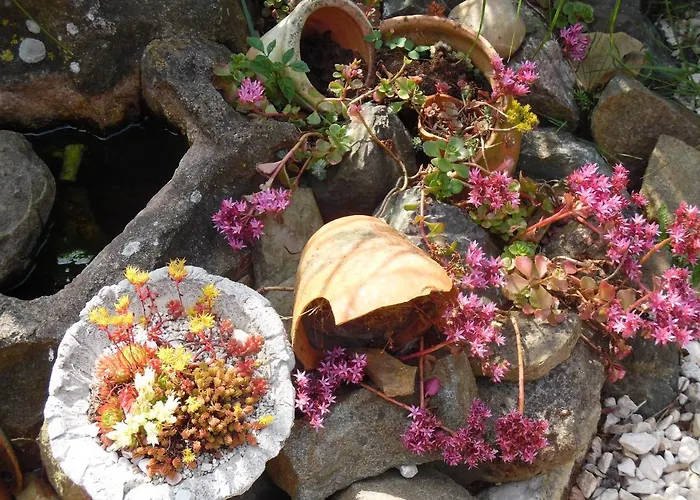 Martina Крумхёрн